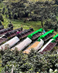 Best of Panama - Santamaria Coffee Estate Mr. Luis GN - 12