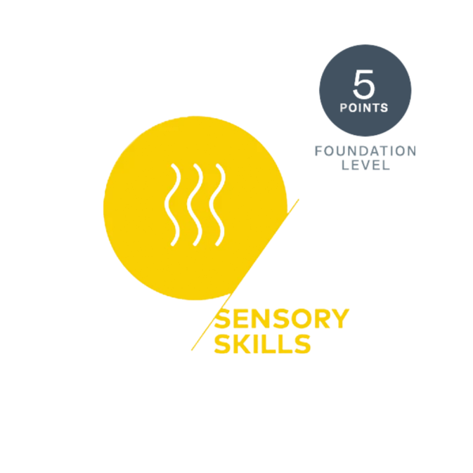 SCA Sensory Skills Foundation