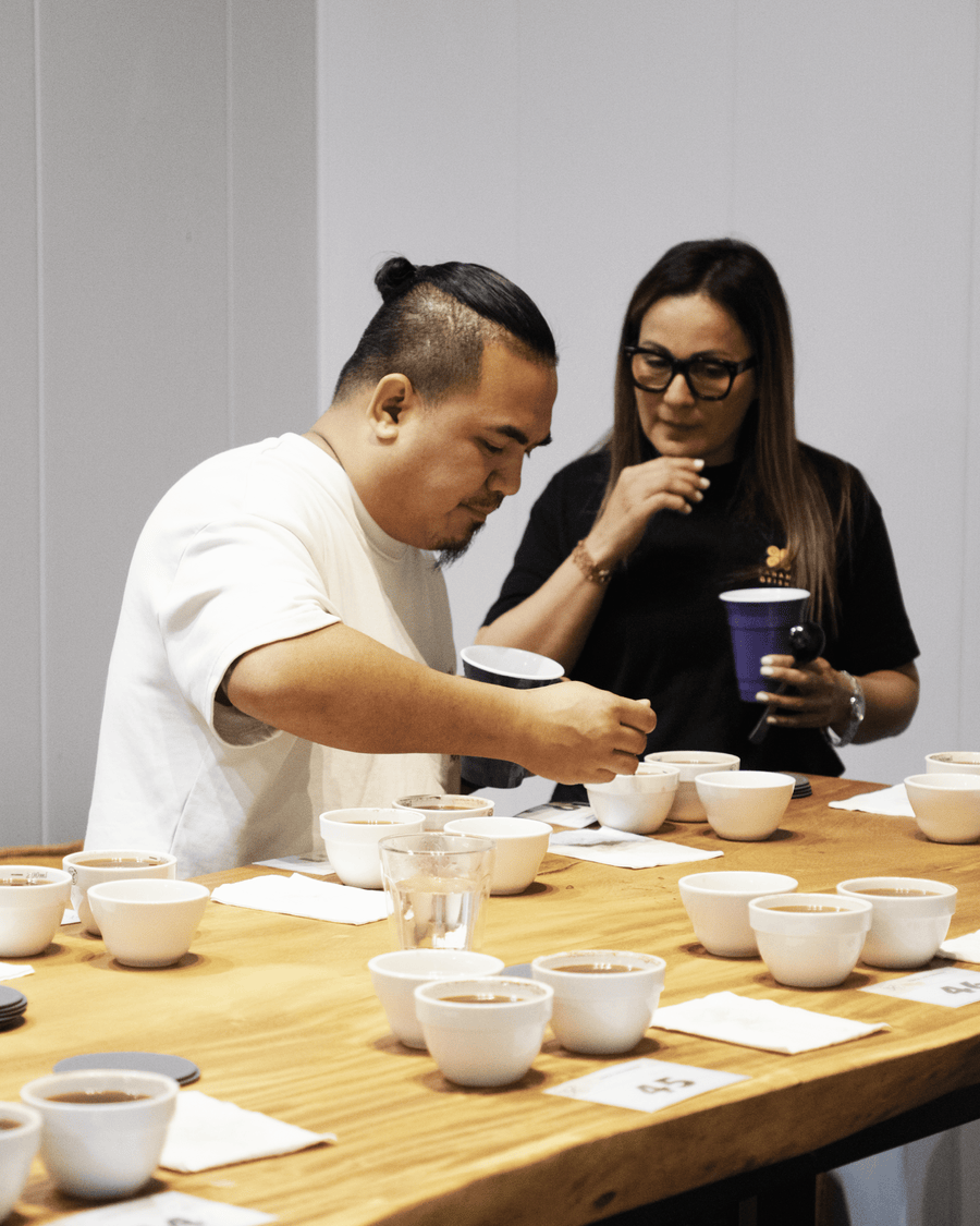 Panama - Finca Los Cenizos GNF lot 175