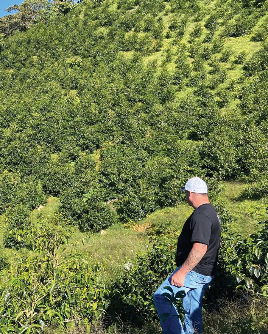 Best of Panama - Tierra Blanca C5 Geisha Washed - 20