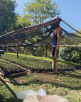 Panama - Finca Sophia GN Lot FS135A25 Heritage Collection