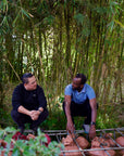 Ethiopia - Elto - Elora Station  Cold Ferment Natural CF8