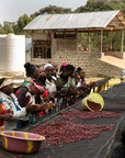 Ethiopia - Elto - Elora Station  Cold Ferment Natural CF8