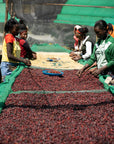 Ethiopia - Elto - Elora Station  Cold Ferment Natural CF8