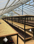 Best of Panama - Agricola Geisha La India GN - 08