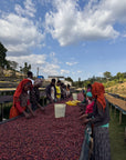 Ethiopia - Daye Bensa Korma Kontoma Murago Natural Mini