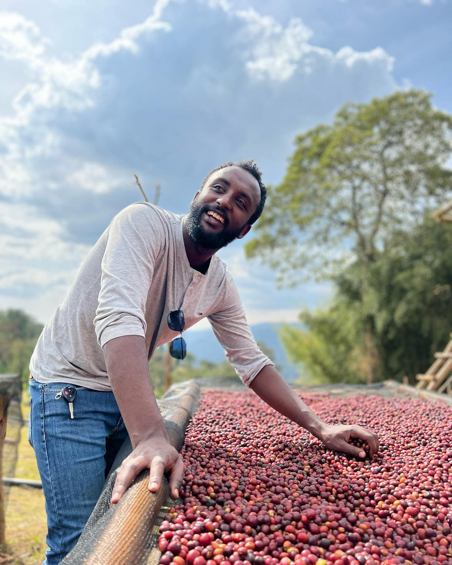 Ethiopia - Elto Natural Anaerobic Archers Lot