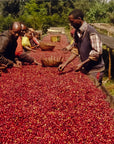 Ethiopia - Yirgacheffe Idido