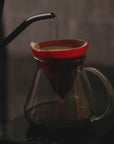 Panama - Finca Los Cenizos GNF 261 - Lulu Lot