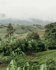 Burundi - Kivuvuma Anaerobic