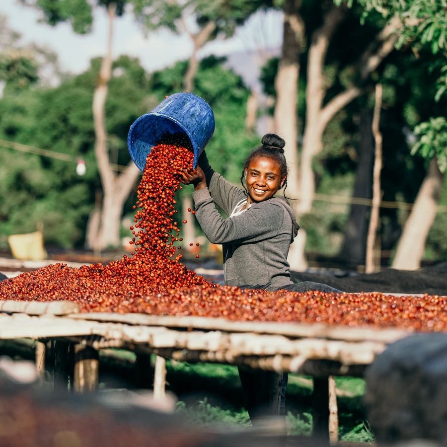 Ethiopia - Gatta Natural