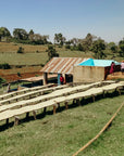 Kenya - Gakuyuini