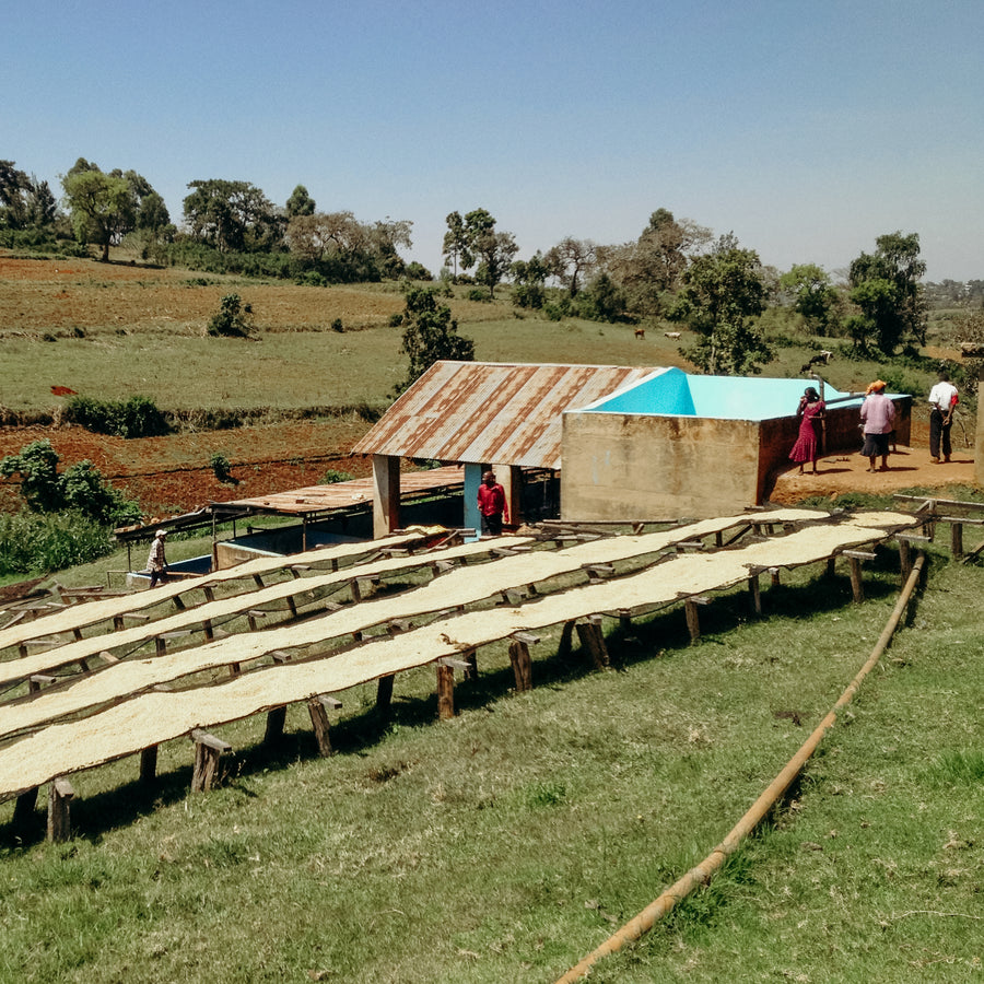 Kenya - Gakuyuini