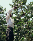 Kenya - Gakuyuini