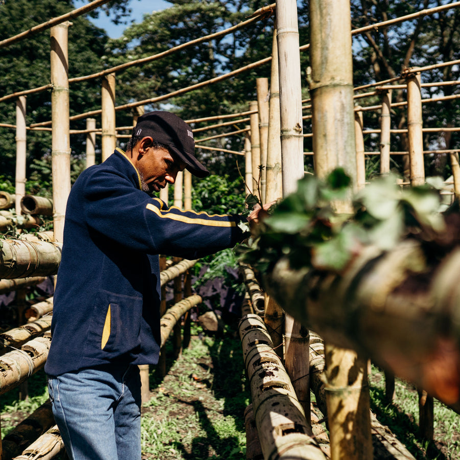 Colombia - Finca Olivios