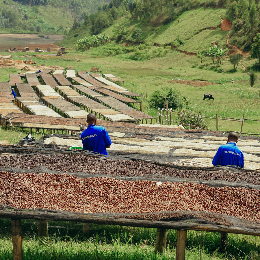 Rwanda - Fugi Intango
